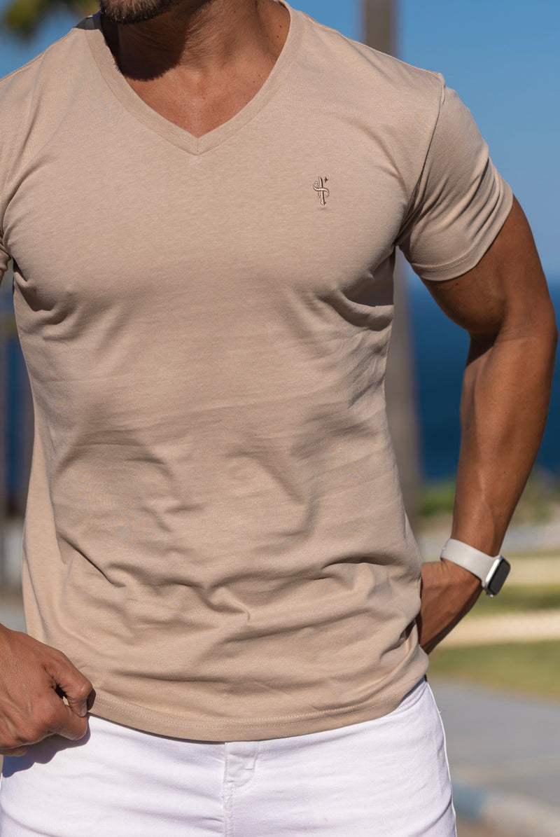 Father Sons Classic Beige V Neck - FSH742